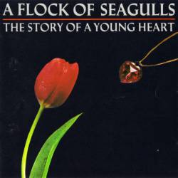 A Flock Of Seagulls : The Story of a Young Heart
